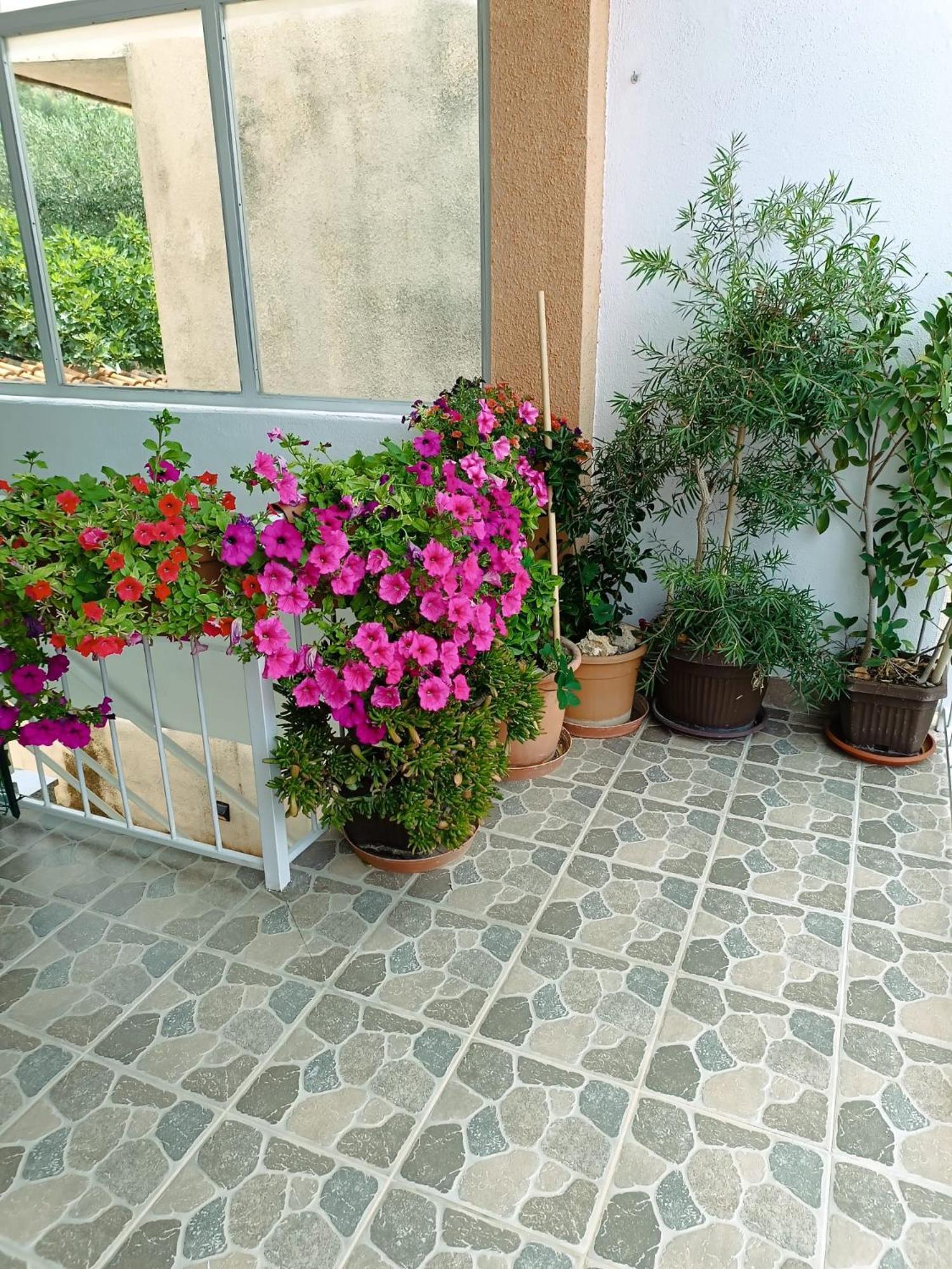 Apartments Turic Tučepi المظهر الخارجي الصورة
